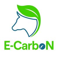 E-Carbon